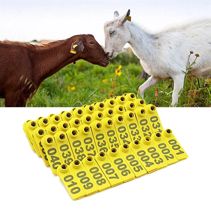 Custom Sheep Ear Tags