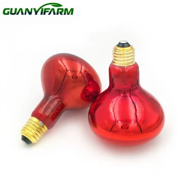 Žarulja grijaće lampe za piliće